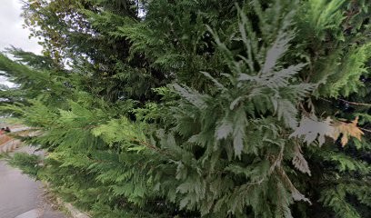 Mr.Bricolage Quincy, Magasin de Bricolage à Quincy-sous-Sénart