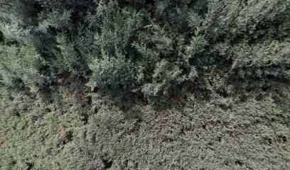 Atelier Bernard Leblanc, Magasin de Bricolage à Peypin