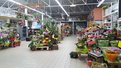 Bricomarché Montigny Le Roi, Magasin de Bricolage à Val-de-Meuse