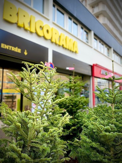 Bricorama Sèvres, Magasin de Bricolage à Sèvres